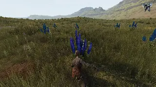 《蜀门》开发组深夜爆料：新版本副本难度逆天？策划竟在线滑跪求饶！